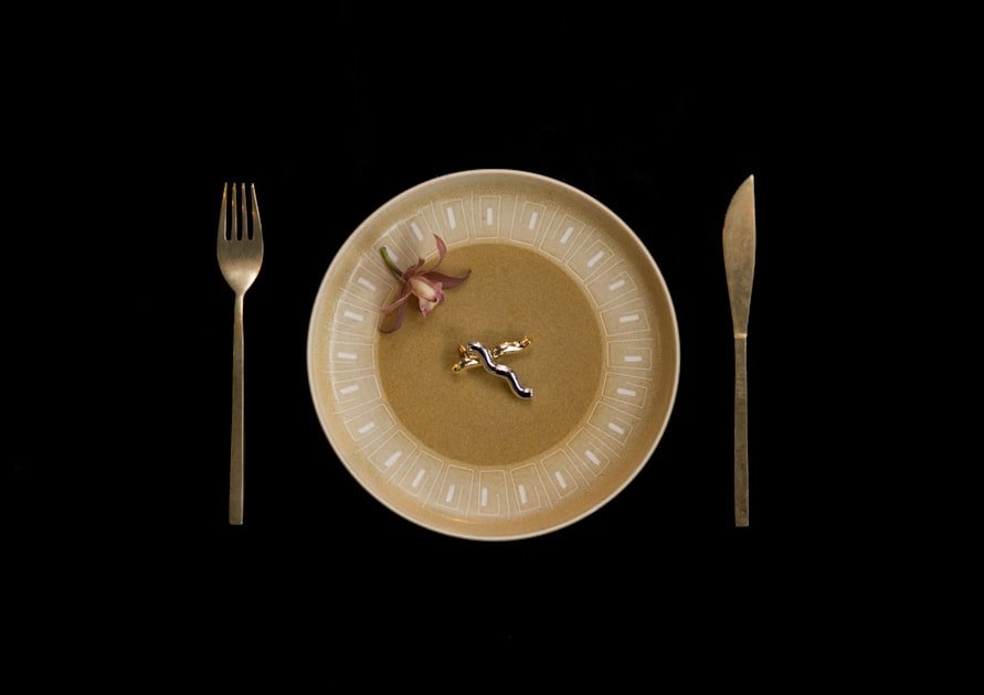 Intermittent Fasting Complete Beginners Guide: Complete Health Guide